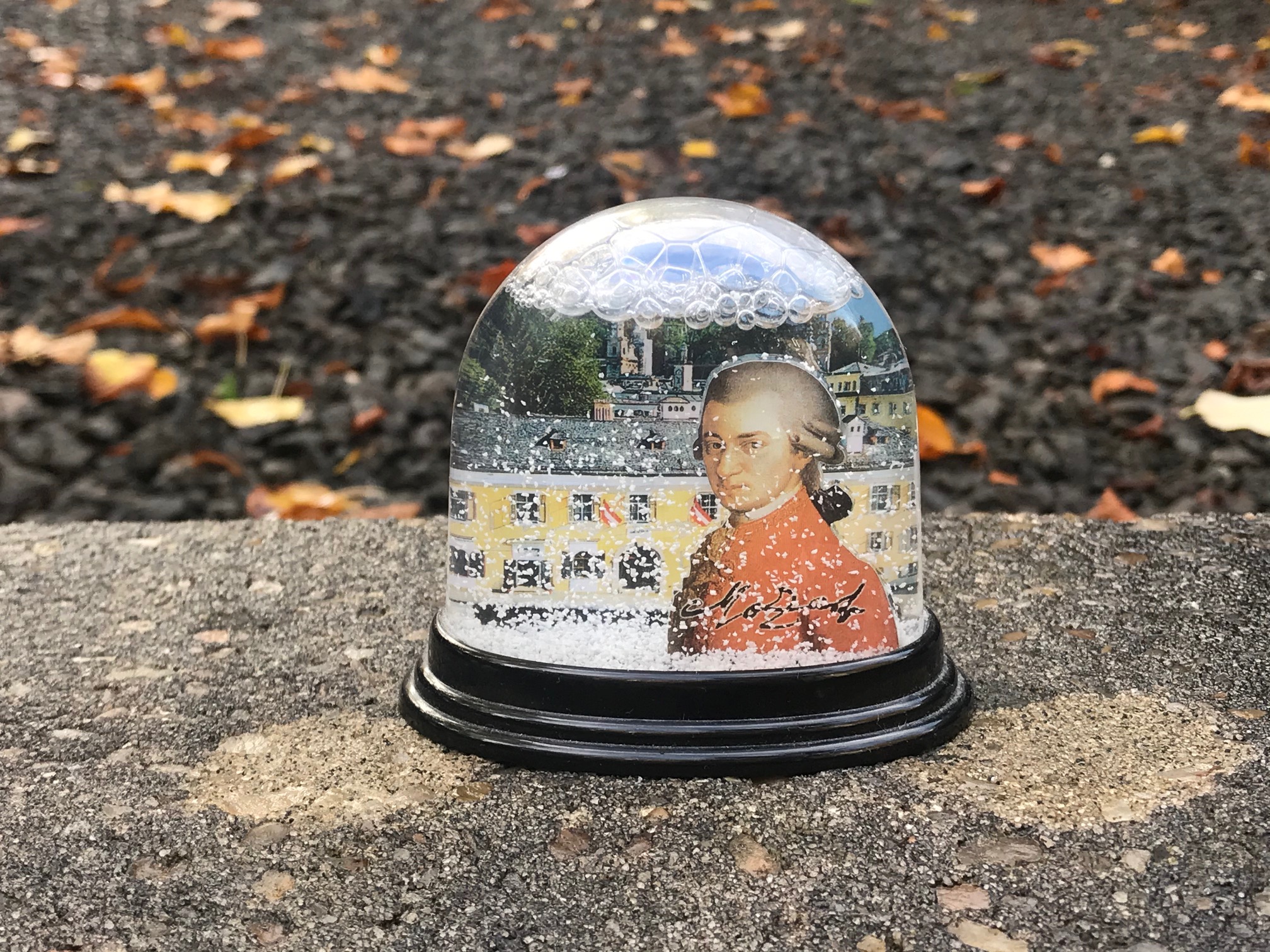 Salzburg Snow Globe from a Collection of Snow Globes